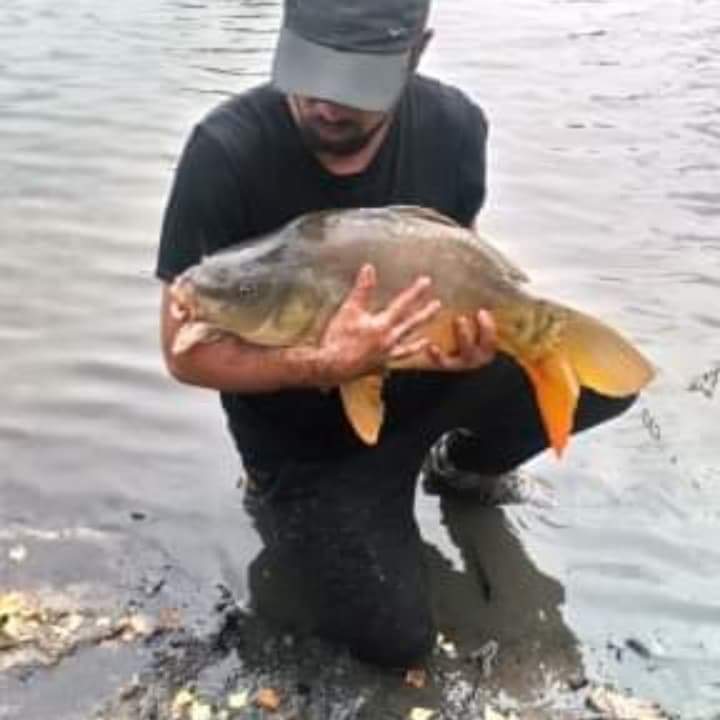 Perfil de Abdul-rahman