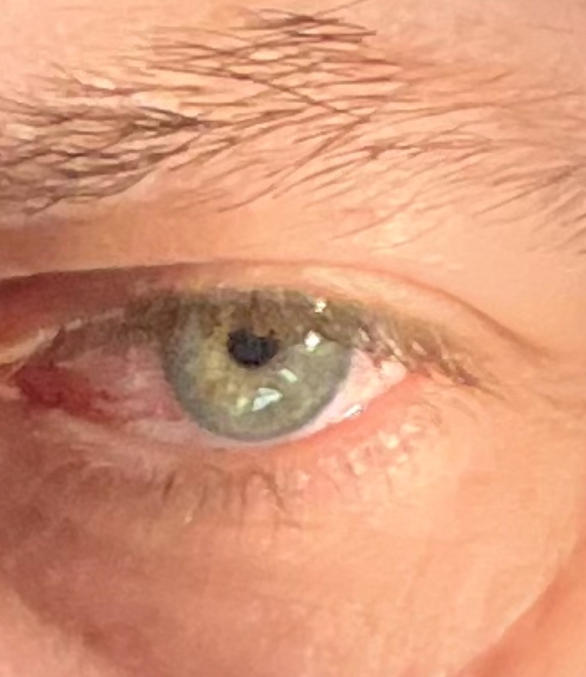 Perfil de Claude-michel