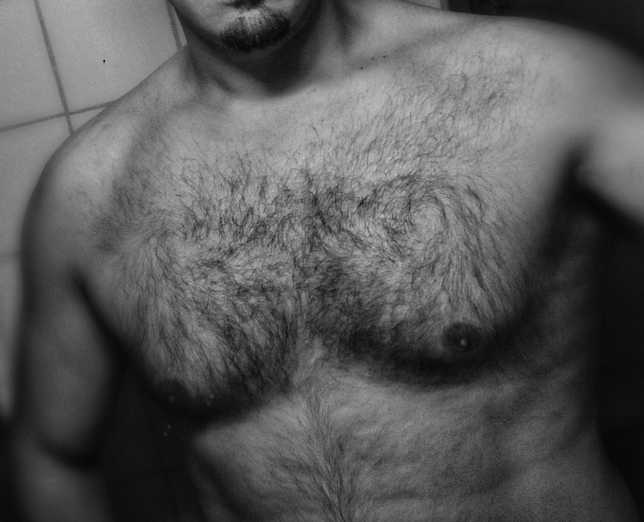 Perfil de Ahmed-yacine